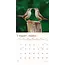 Garden Birds Kalender 2025