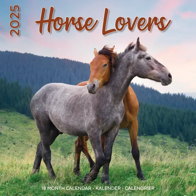 Plenty Gifts Horses Calendar 2025