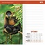 Agenda de poche 2025 du WWF Wild and Free