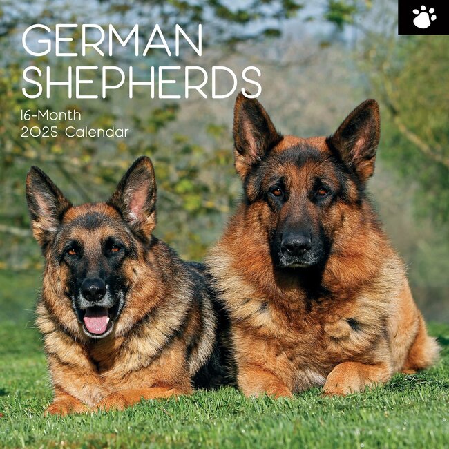 The Gifted Stationary German Shepherd Calendar 2025