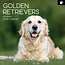 Calendario del Golden Retriever 2025