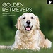 The Gifted Stationary Calendrier Golden Retriever 2025