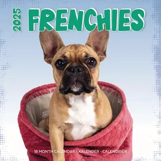 Plenty Gifts French Bulldog Studio Calendar 2025