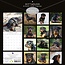 Rottweiler Calendar 2025