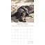 Calendrier Rottweiler 2025