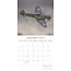 Spitfires Kalender 2025