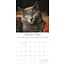 Top Cats Calendar 2025