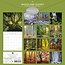 Woodland Scenes Calendar 2025