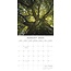 Woodland Scenes Calendar 2025