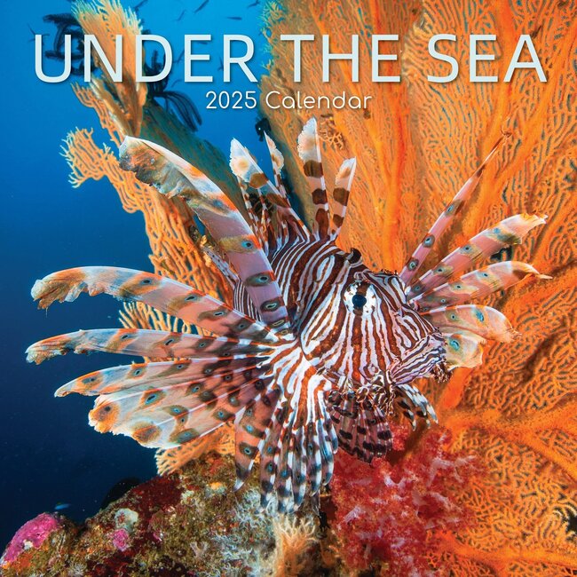 Under the Sea Kalender 2025