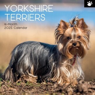 The Gifted Stationary Yorkshire Terrier Calendar 2025