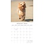 Calendrier Yorkshire Terrier 2025