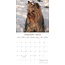 Yorkshire Terrier Kalender 2025