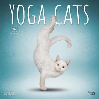 Browntrout Calendario Gatti Yoga 2025