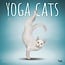 Browntrout Calendario Yoga Gatos 2025