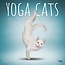 Browntrout Calendrier Yoga Cats 2025