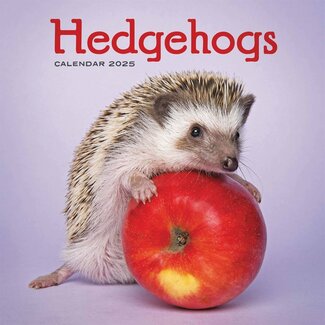 CarouselCalendars Hedgehog Calendar 2025