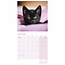 Black Cats Calendar 2025