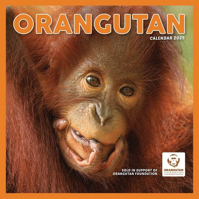 Calendrier Orang-outan 2025