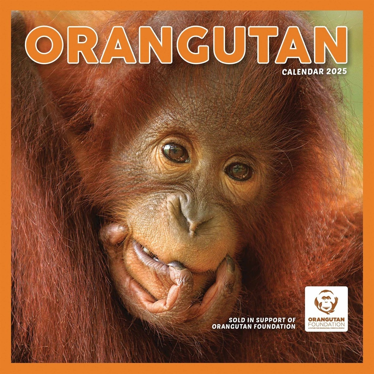 CarouselCalendars Orangutan Calendar 2025 - Shopcalendars.com