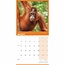 Calendario Orangután 2025