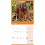 Calendario Orangután 2025