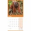 Orangutan Calendar 2025