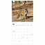 Big Cats Calendar 2025