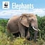 CarouselCalendars WWF Elephant Calendar 2025