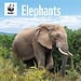 CarouselCalendars Calendario WWF del Elefante 2025