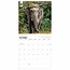 Calendrier des éléphants du WWF 2025