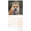 Calendrier des renards 2025