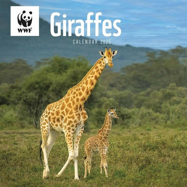 CarouselCalendars WWF Giraffenkalender 2025