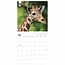 WWF Giraffenkalender 2025