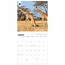 Calendario Jirafa WWF 2025