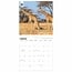 WWF Giraffe Calendar 2025