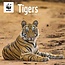 Calendrier WWF des tigres 2025