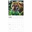 Calendario WWF delle tigri 2025