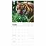 WWF Calendario del Tigre 2025