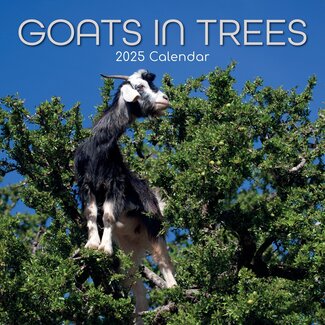 The Gifted Stationary Goats in Trees Kalender 2025