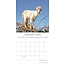 Cabras en los árboles Calendario 2025