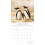 Pinguin Kalender 2025