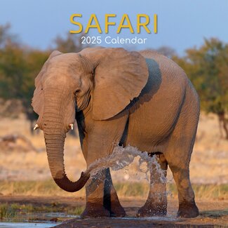 The Gifted Stationary Safari Calendar 2025