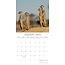 Calendrier Safari 2025