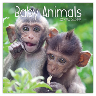 TL Turner Baby Animals Kalender 2025