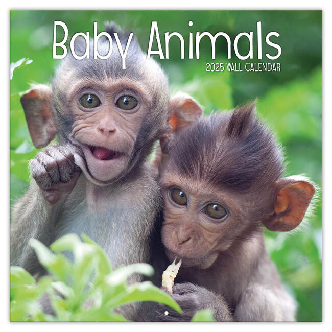 Baby Animals Calendar 2025 TL Turner