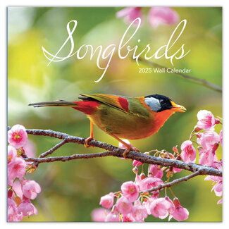 TL Turner Songbirds Kalender 2025