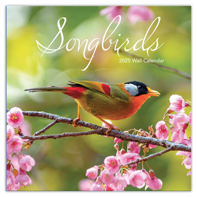 Calendario Songbirds 2025 Turner