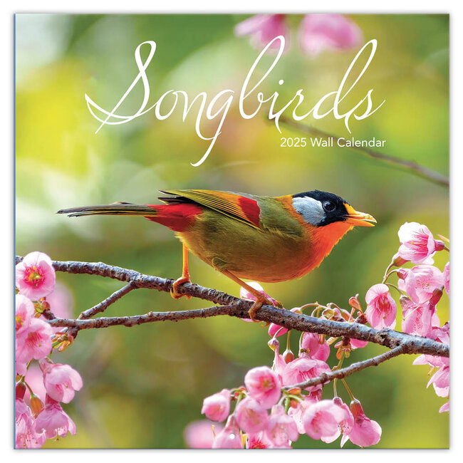 Songbirds Kalender 2025 Turner
