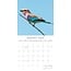 Exotic Birds Kalender 2025